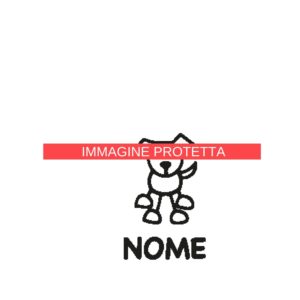 Animali 15 Famiglia - Animali