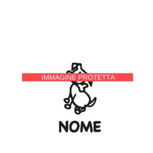 Animali 16 Famiglia - Animali