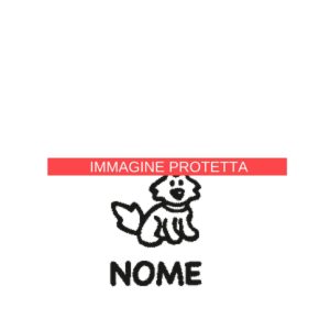 Animali 17 Famiglia - Animali