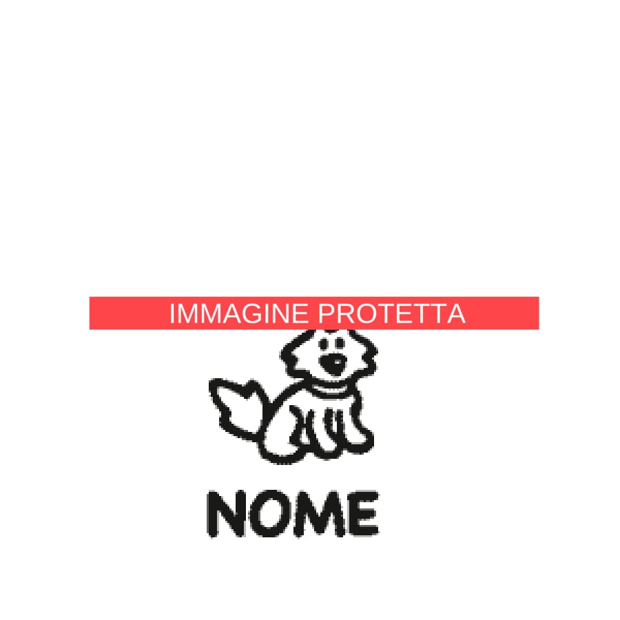 Animali 17 Famiglia - Animali