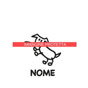 Animali 19 Famiglia - Animali