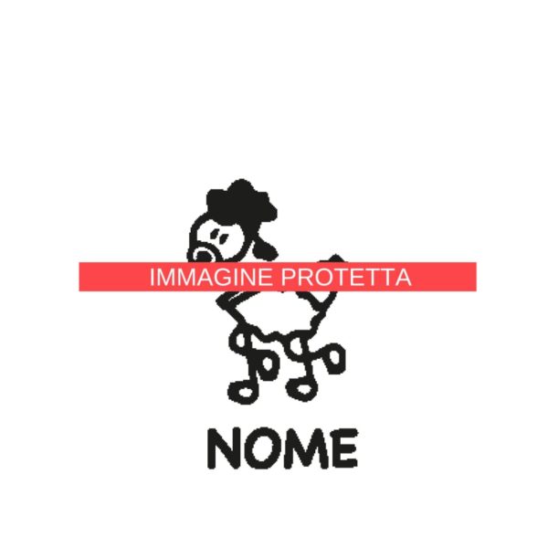 Animali 8 Famiglia - Animali