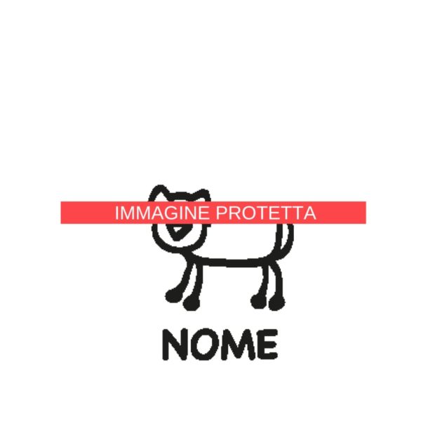 Animali 9 Famiglia - Animali