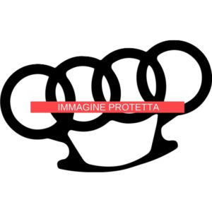 Audi 2 Audi
