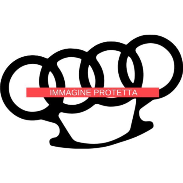 Audi 2 Audi