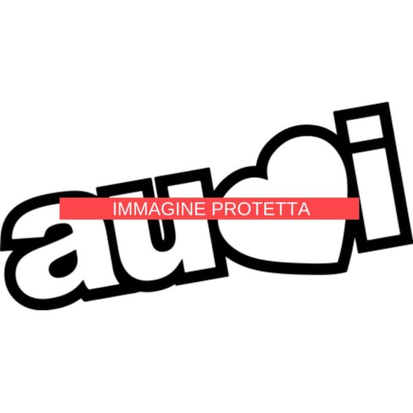 Audi 4 Audi