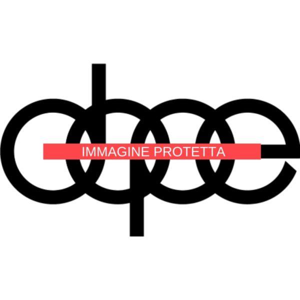 Audi 9 Audi