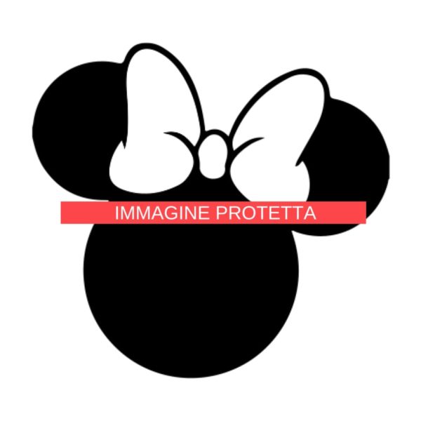 Disney 17 Disney