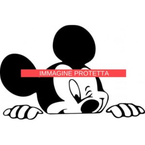 Disney 29 Disney