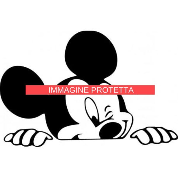 Disney 29 Disney