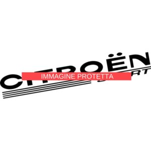 Citroën 11 Marchi Auto - Citroen
