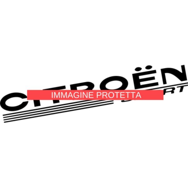 Citroën 11 Marchi Auto - Citroen