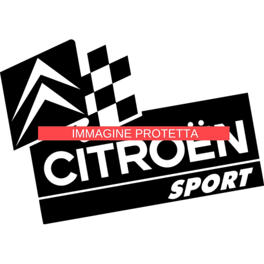 Citroën 12 Marchi Auto - Citroen