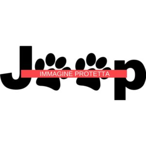 Jeep 15 Marchi Auto - Jeep