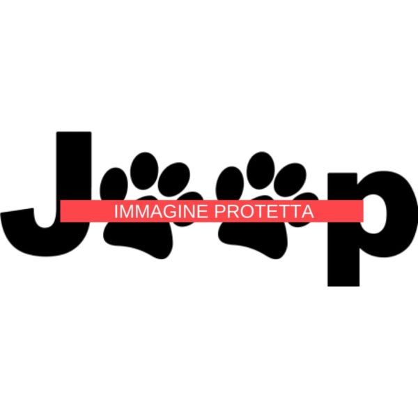Jeep 15 Marchi Auto - Jeep