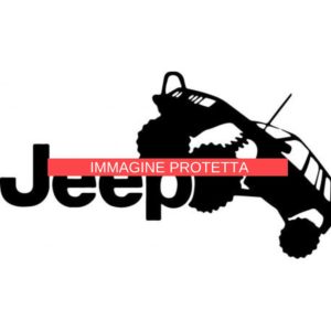 Jeep 4 Marchi Auto - Jeep