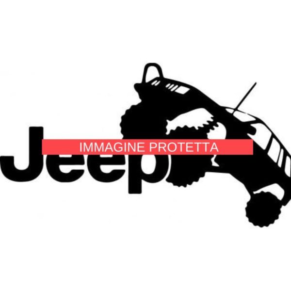Jeep 4 Marchi Auto - Jeep